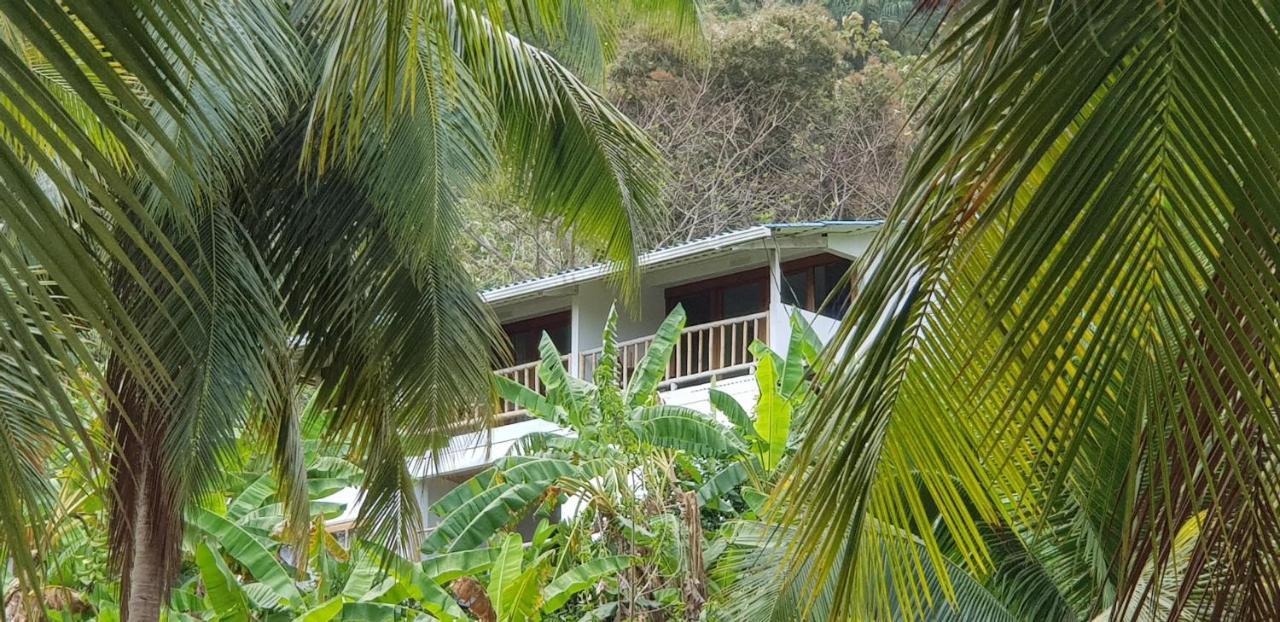 Vista Caribe Hotel Portobelo Eksteriør billede