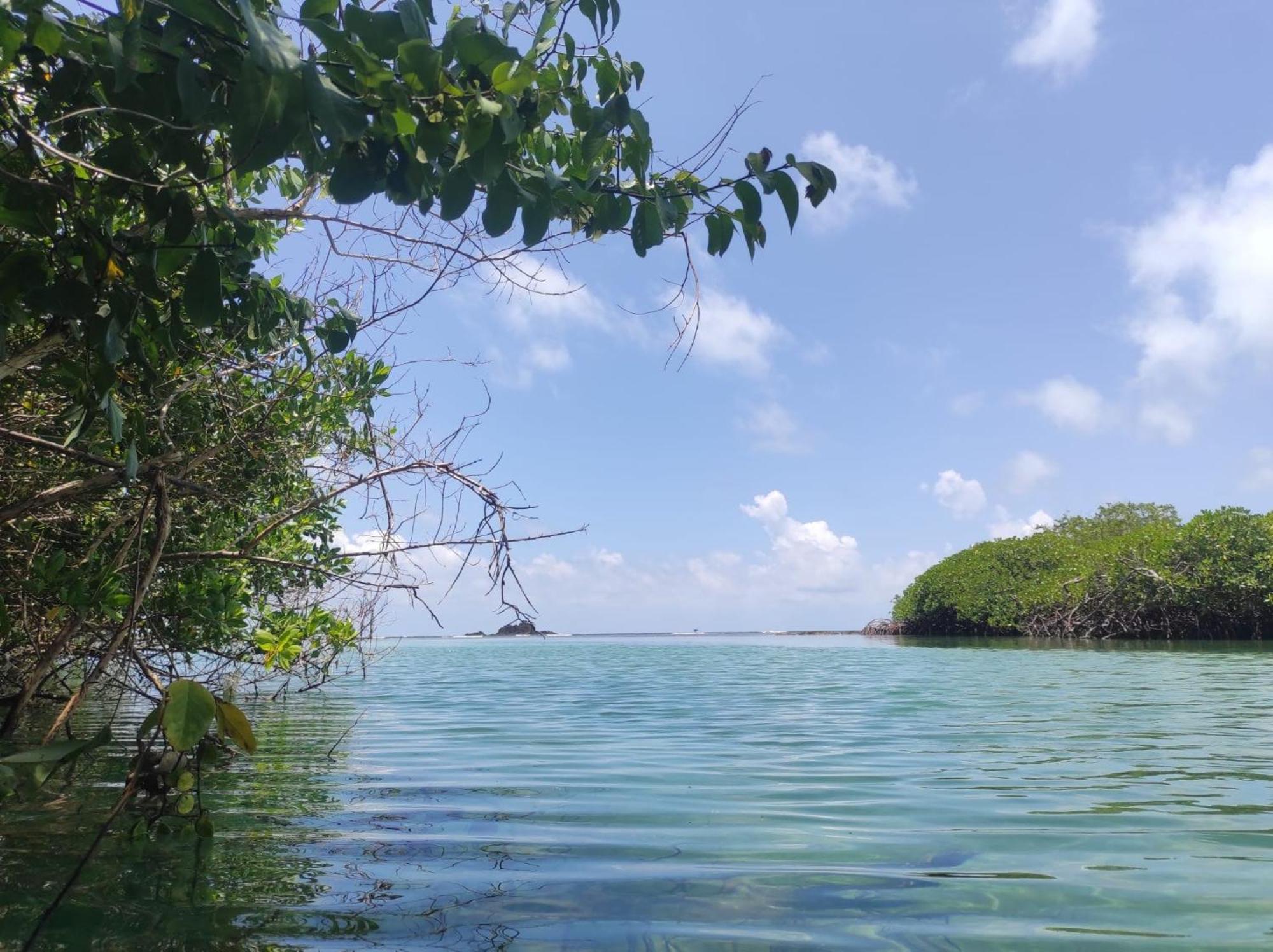 Vista Caribe Hotel Portobelo Eksteriør billede